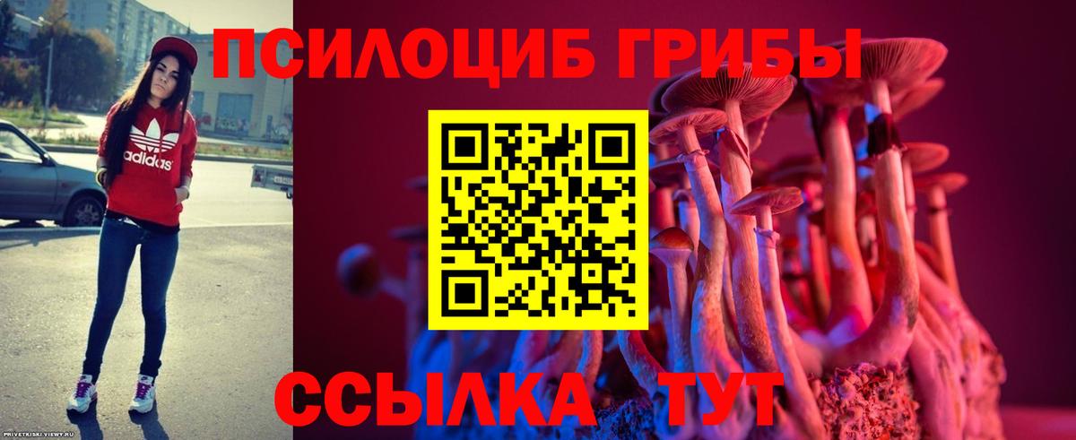 Соликамск  Псилоцибиновые грибы мицелий  Вход с VPN 